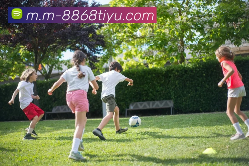 对战数据统计
